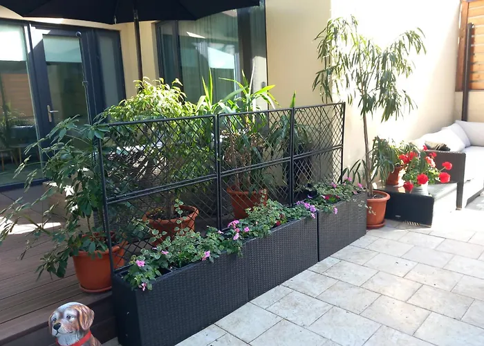 Studio\'24 - Tomis Mall - Ultracentral